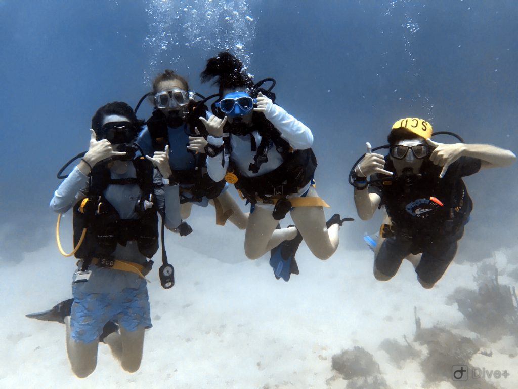 Record Certifications Summer of 2018 Sail Caribbean Divers