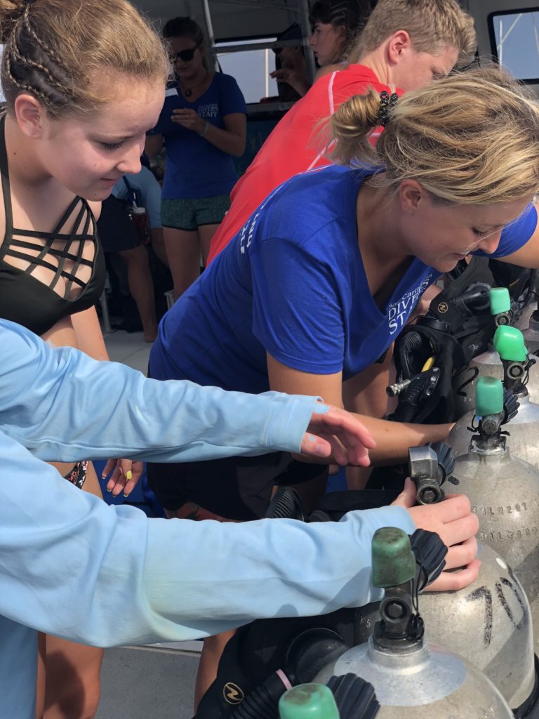 Record Certifications Summer of 2018 Sail Caribbean Divers