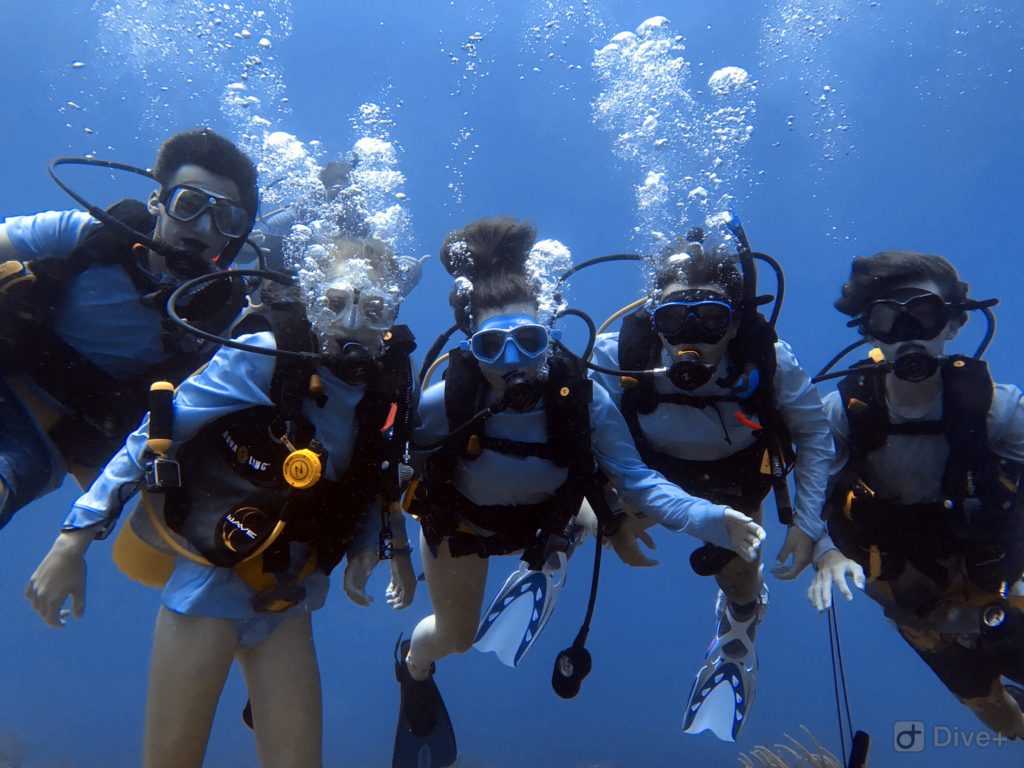 Record Certifications Summer of 2018 Sail Caribbean Divers